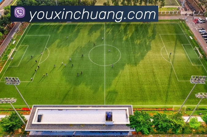 乐鱼在线登录入口平台生态图